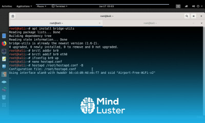 12 How to Set up an Access Point with Internet Access