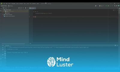 9 If Else Statements in Python Making Decisions and Controlling Program Flow YouTube Tutorial