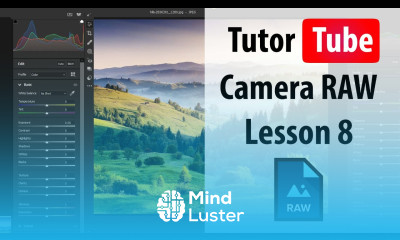 Adobe Camera RAW Lesson 8 Color Mixer Adjustment