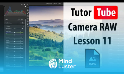 Adobe Camera RAW Lesson 11 Geometry Adjustment