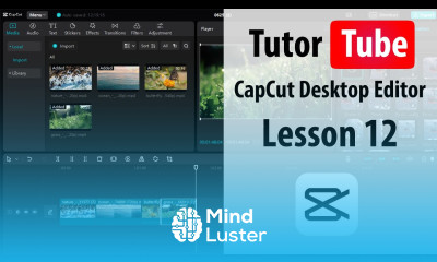 CapCut Desktop Editor Lesson 12 Link to Media