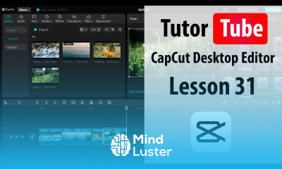 CapCut Desktop Editor Lesson 31 Enhance Options