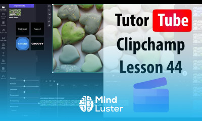 Learn Clipchamp Tutorial Lesson 44 Using Stock Images - Mind Luster