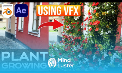 How To Create Plant Growing CGI Animation VFX Blender VFX Tutorial