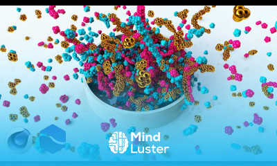 Cinema 4D RealFLow Tutorial Cute Particle Animation