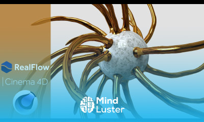 Cinema 4D RealFlow Tutorial Abstract Realflow Animation Tutorial