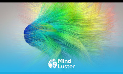 C4D Smooth Hair Dynamic Animation intro