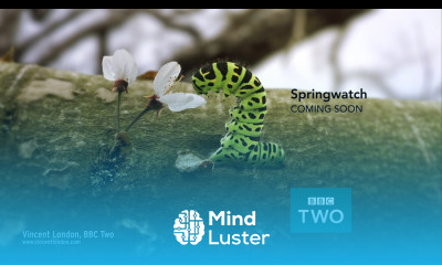 Cinema 4D General Reel 2016 UK and Ireland 3D Animation Software