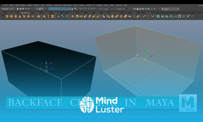 BACKFACE CULLING IN MAYA 2020 TUOTRIAL FOR BEGINNERS