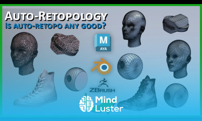 Automatic Retopology Is It Any Good