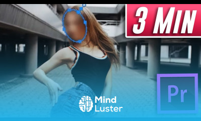 Premiere Pro How to Blur Moving Objects Fast Tutorial