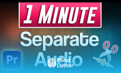 How to Separate Audio From Video Adobe Premiere Pro