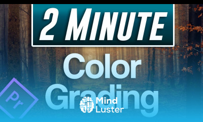 Color Grading Tutorial Premiere Pro 2020