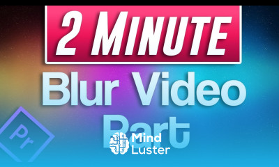 Premiere Pro How to Blur Part of Video