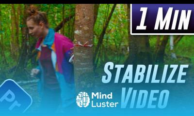 Learn How to Stabilize Video Premiere Pro 2022 - Mind Luster