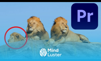 How to Circle Something in Premiere Pro