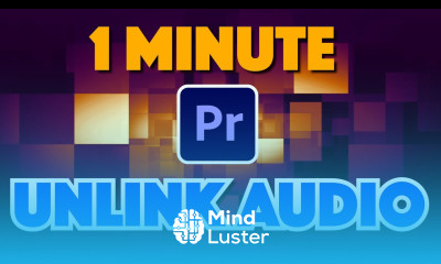 Premiere Pro How to Disconnect Audio from Video