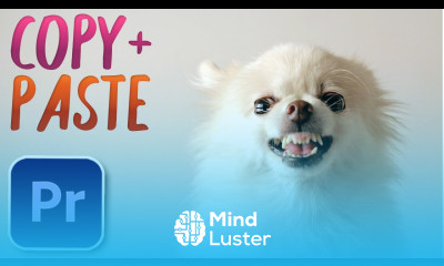 How to Copy and Paste Clips in Premiere Pro