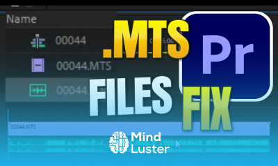 Fix MTS Audio in Premiere Pro importing without audio