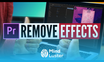 Remove Effect from Many Clips in Premiere Pro