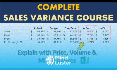 The Complete Sales and Profit Variance Analysis Course Price Volume Mix impact on Profitability