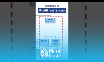 Sales and profit variances FP A course excel incomestatement