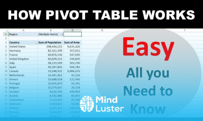 Using Pivot Tables to transform Large data into Beautiful Summaries Beginner Pivot table Tutorial