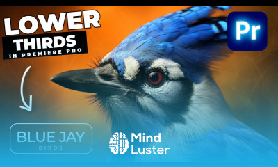 Lower Thirds ANIMATED Frosted Glass In Premiere Pro