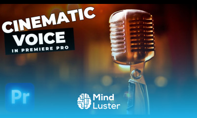 How To Make Your Voice SOUND Professional In Premiere Pro