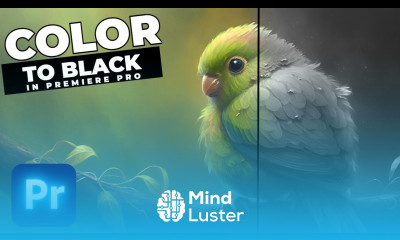 COLOR To BLACK And WHITE Transition Tutorial In Premiere Pro