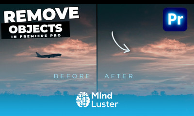 How To REMOVE Objects From VIDEO In Premiere Pro