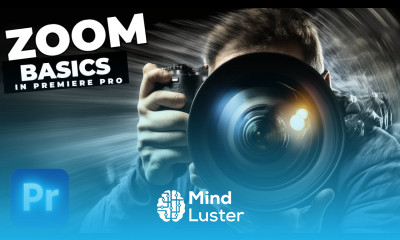 How To Add A Basic Zoom IN And OUT In Premiere Pro