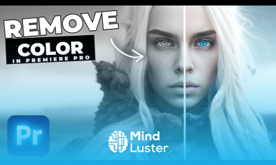 How To Make A Video Black And White In Premiere Pro