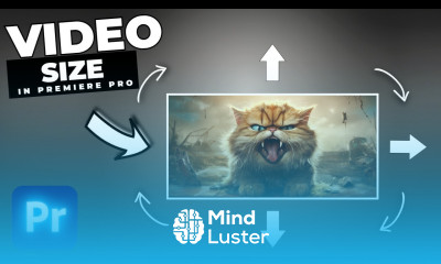 How To Change Video Size In Premiere Pro 2022
