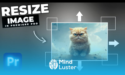 How To Resize Images Automatically In Premiere Pro