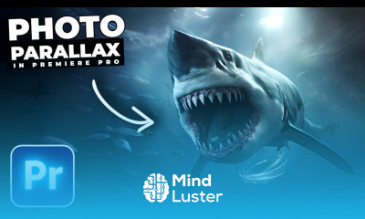 How To Animate PHOTOS With PARALLAX In Premiere Pro