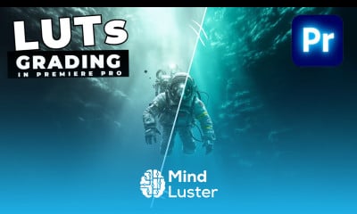 How To Use LUTS For COLOR GRADING In Premiere Pro