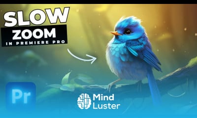 How To Add A SLOW ZOOM In Premiere Pro