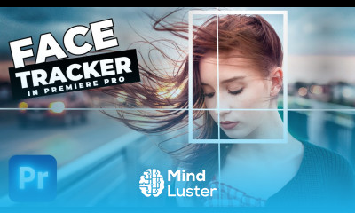 How To Add A TikTok FACE TRACKER Effect In Premiere Pro
