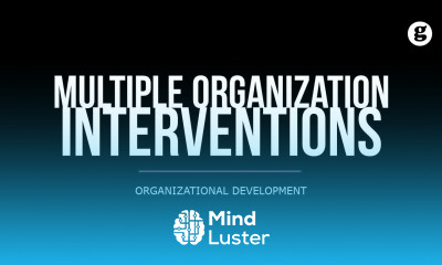 Multiple Organization Interventions