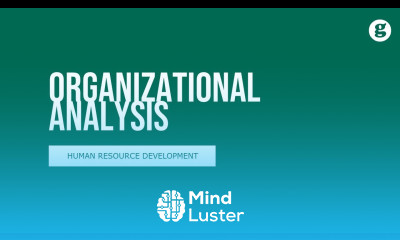 Organizational Analysis