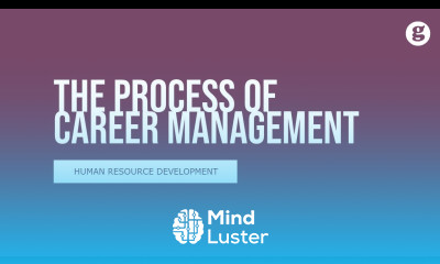Learn The Process of Career Management - Mind Luster