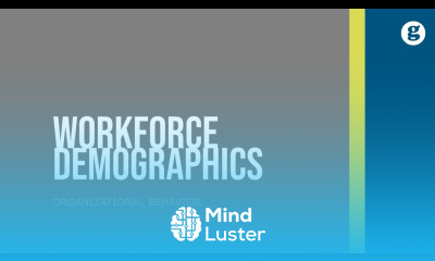 Workforce Demographics