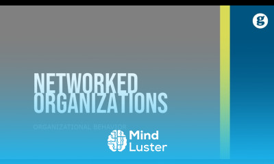 Networked Organizations