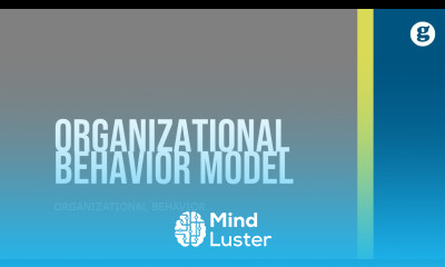 Organizational Behavior Model