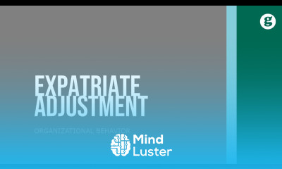 Expatriate Adjustment