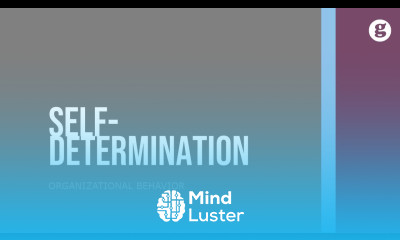 Learn Self Determination Theory - Mind Luster