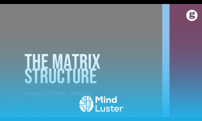 Learn The Matrix Structure - Mind Luster