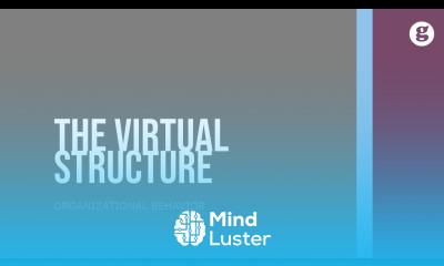 Learn The Virtual Structure - Mind Luster