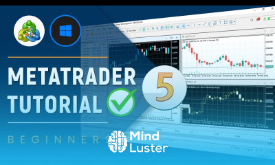  How to Customize and Use MetaTrader 5 MT5 on PC or Laptop Beginners Tutorial 2024
